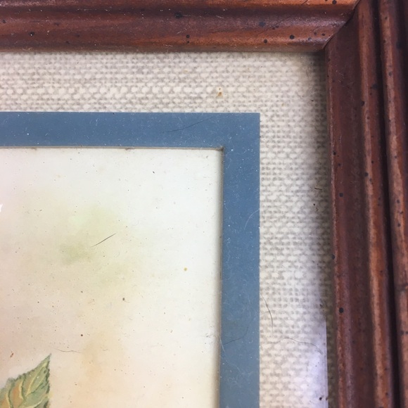 Ava Freeman Strawberries in Bucket Framed Matted Picture Butterfly Floral VTG - Picture 7 of 12